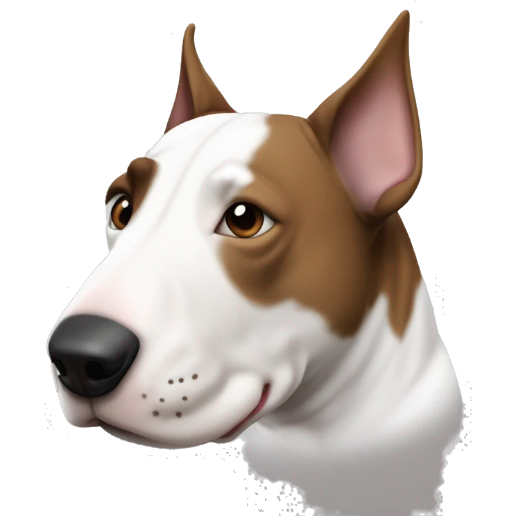Bull terrier with a brown/brindle face and ears and a black nose but his muzzle is white and he has a white stripe that goes up his nose to his forehead emoji