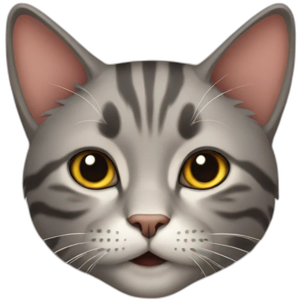 cat ann emoji