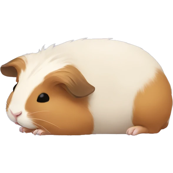 Guineapig sleeping with legs extended  emoji