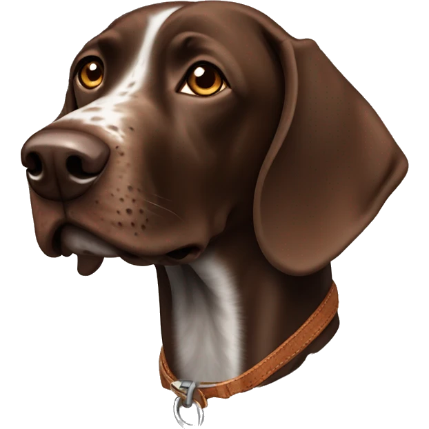 Brown German shorthaired pointer dog emoji