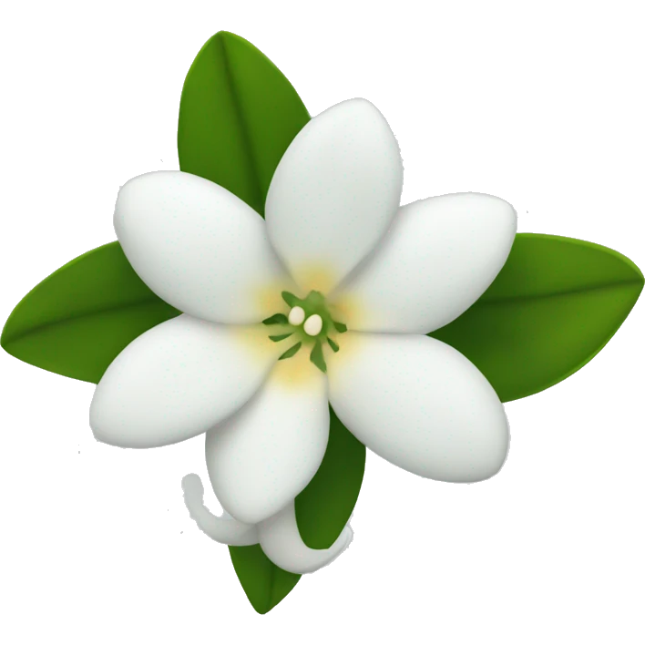 Night Jasmine flower emoji
