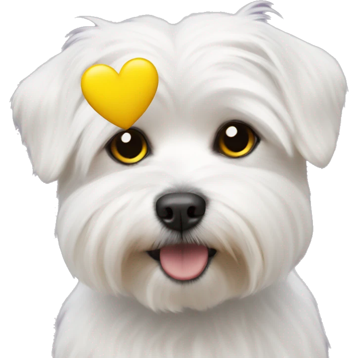Maltese and yellow heart emoji