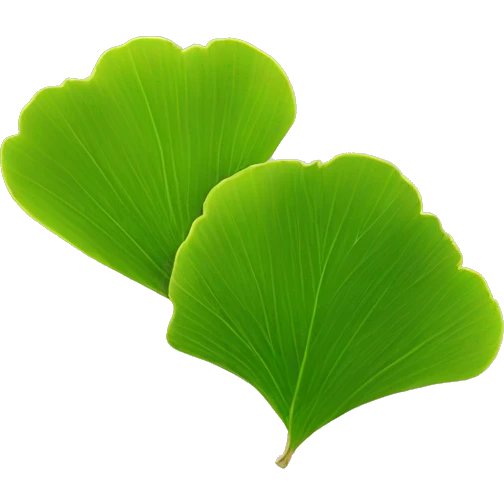 Hoja ginkgo biloba emoji