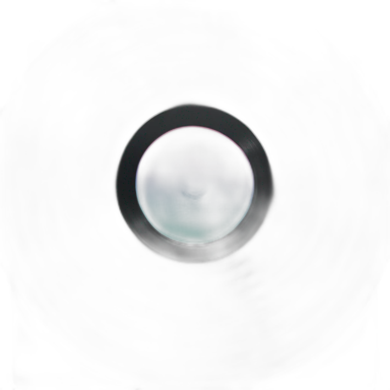 Vinyl record emoji