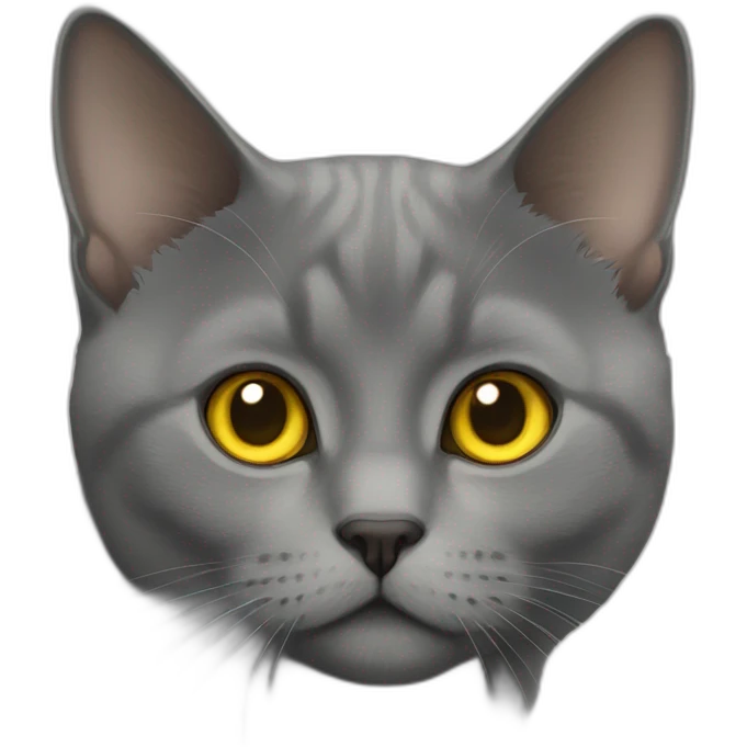 british short-hair cat with yellow eyes okay emoji