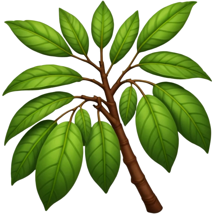 cacao tree branch with leaves emoji