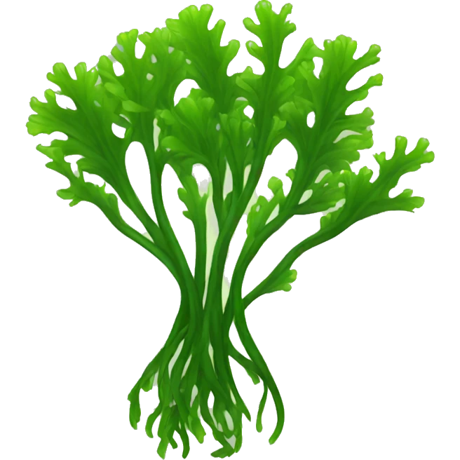 Seaweed  emoji