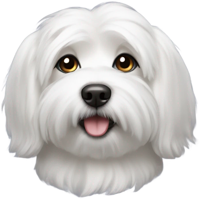coton de tulear emoji