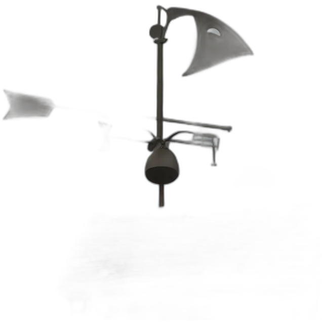 windvane emoji