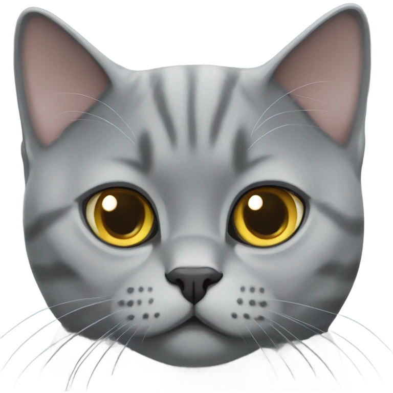 Grey British shorthair cat emoji