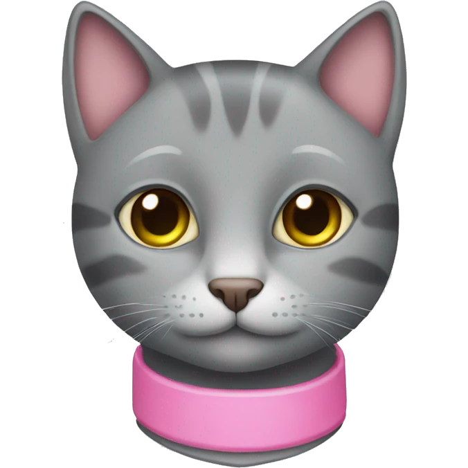 grey cat with pink collar  emoji