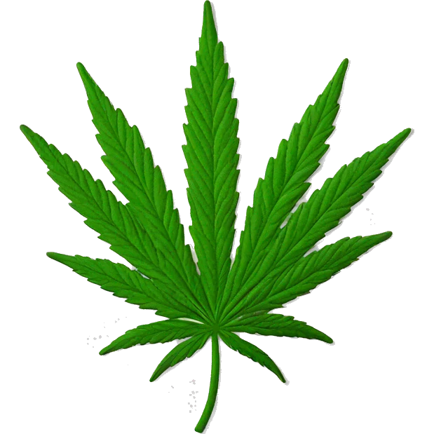 cannabis leaf emoji