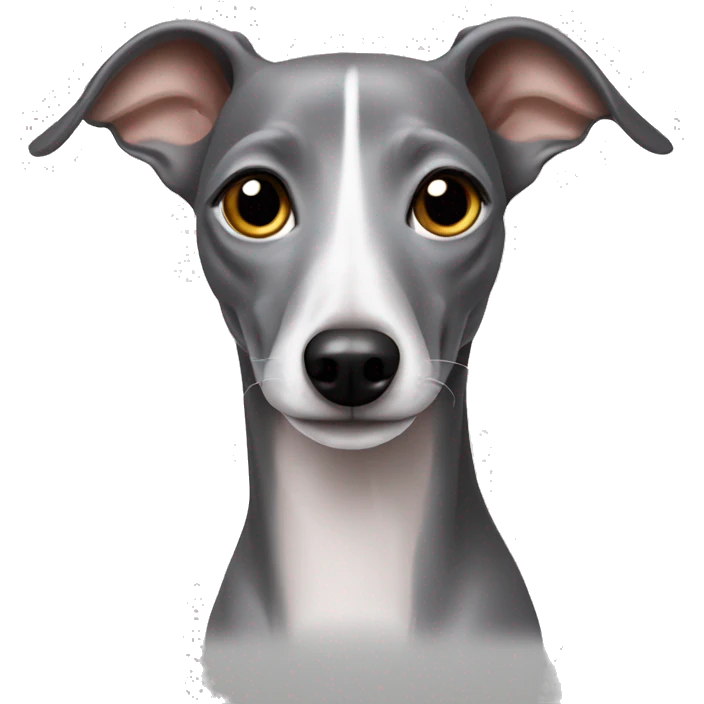 Grey Italian greyhound  emoji