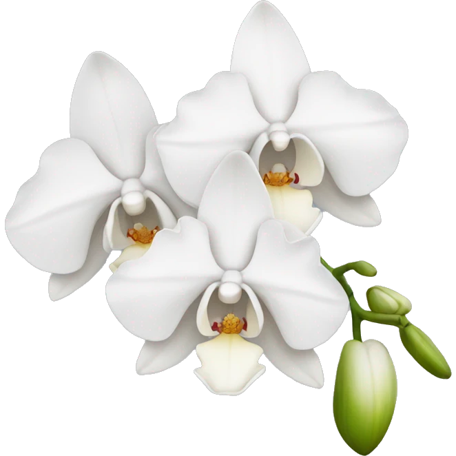 White orchid emoji