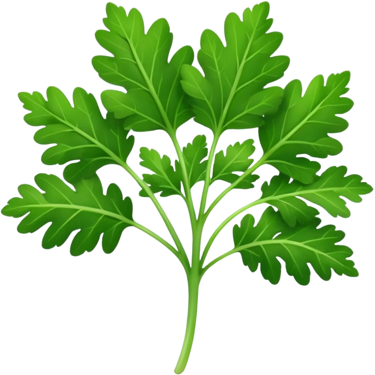 parsley leaf, single, fresh, bright green, serrated edges, natural curves, glossy surface, fine central vein, branching lobes, no stem bunch, no background, soft lighting, emoji scale emoji