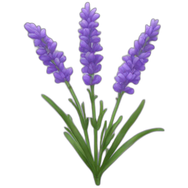 Lavender emoji