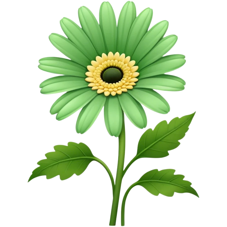 single Soft Green Gerbera Daisy, straight stem emoji
