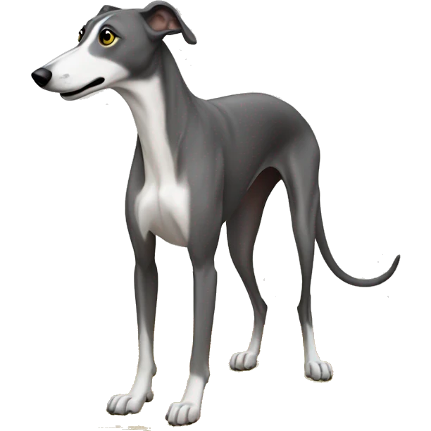 greyhound with yellow puddle emoji