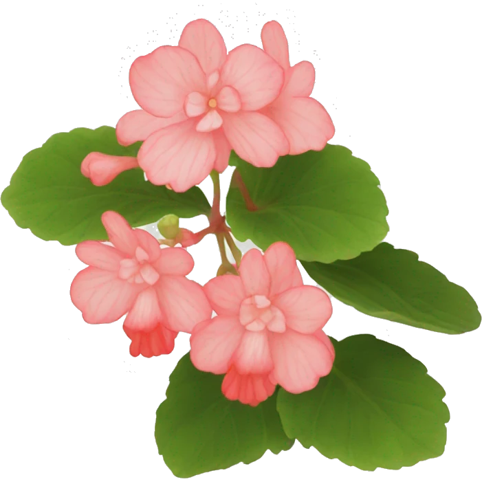 begonia emoji