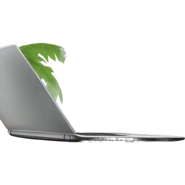 laptop in the summer emoji