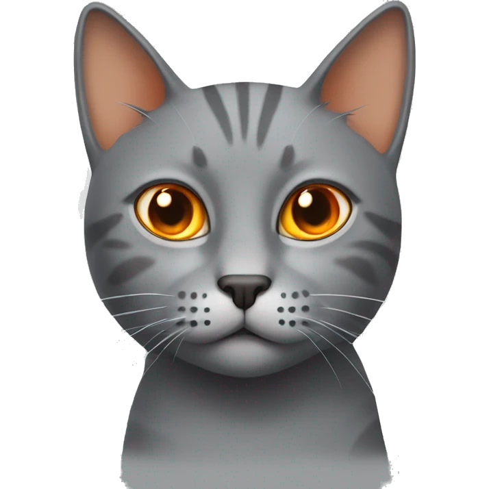 Grey cat with orange Spot on the forehead emoji