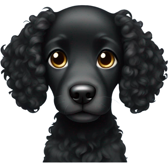 Black curly haired puppy with long floppy ears  emoji