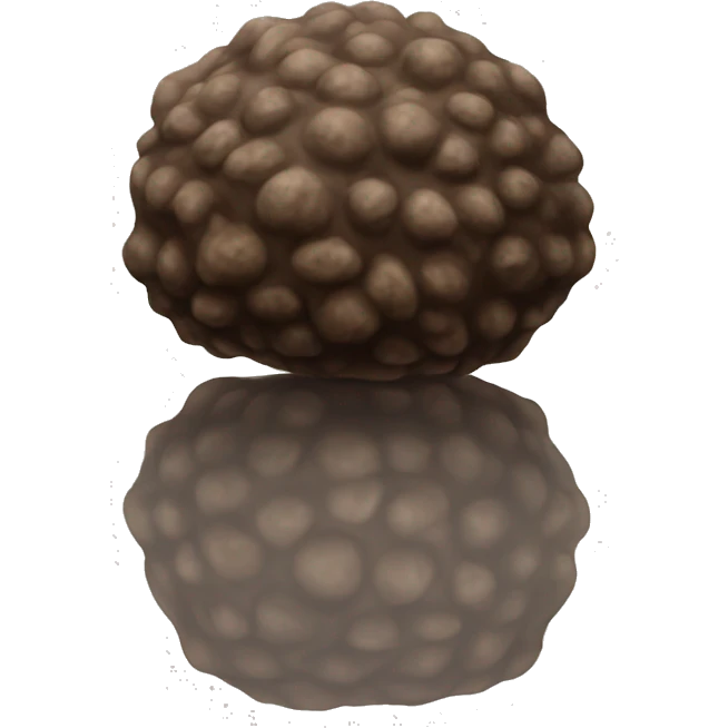 Truffle emoji