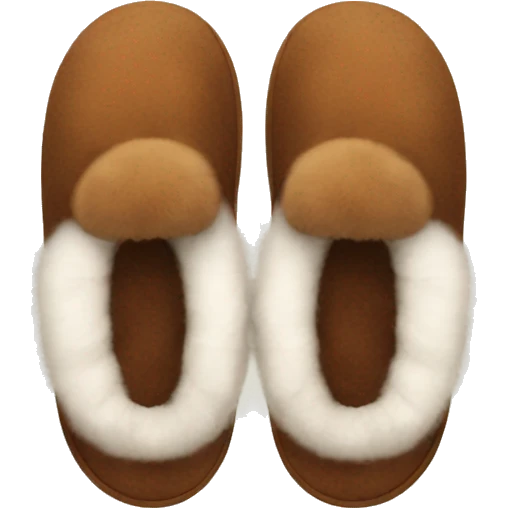 fluffy brown slippers  emoji
