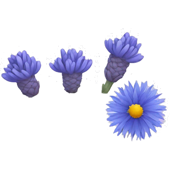 Dried lavender and cornflower flowers emoji