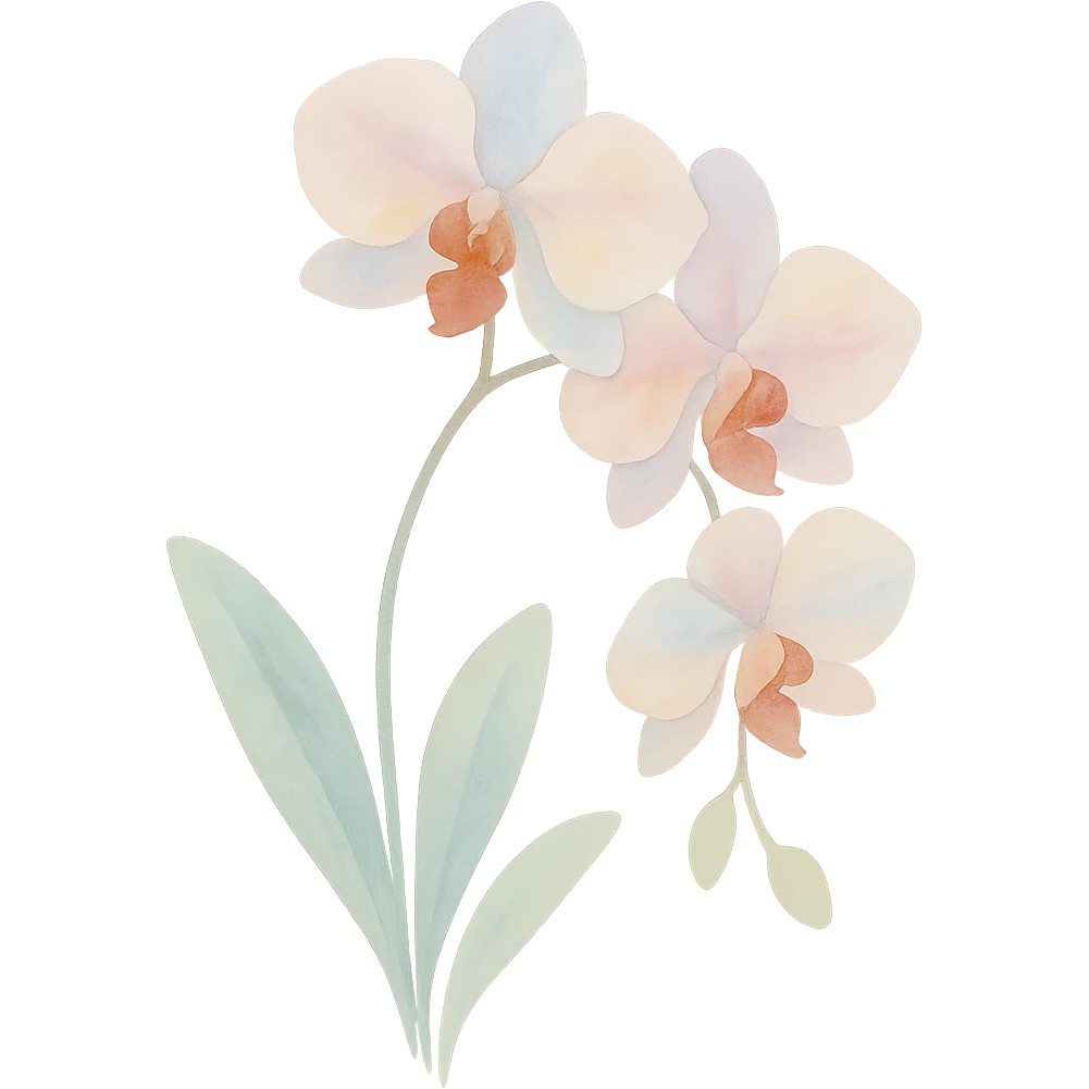 orchid with stem and leaves, luminous colors, gentle blending, realistic botanical illustration, watercolor art style emoji