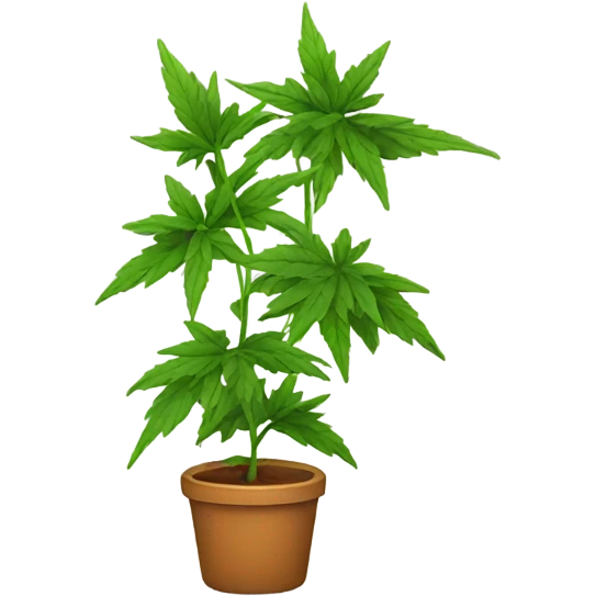 Weed plant emoji