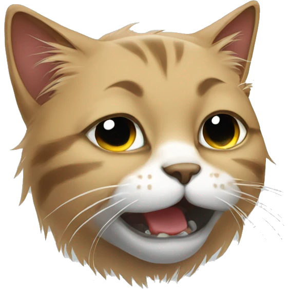 Homeless cat crying  emoji