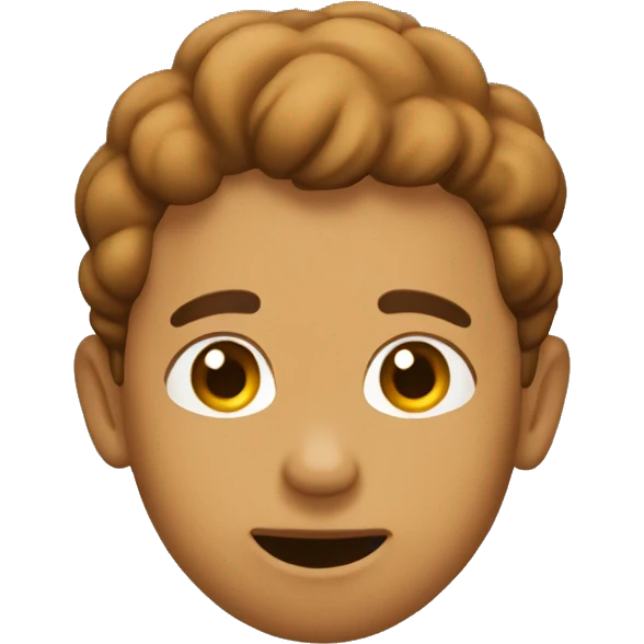 brown toy-puddle  emoji