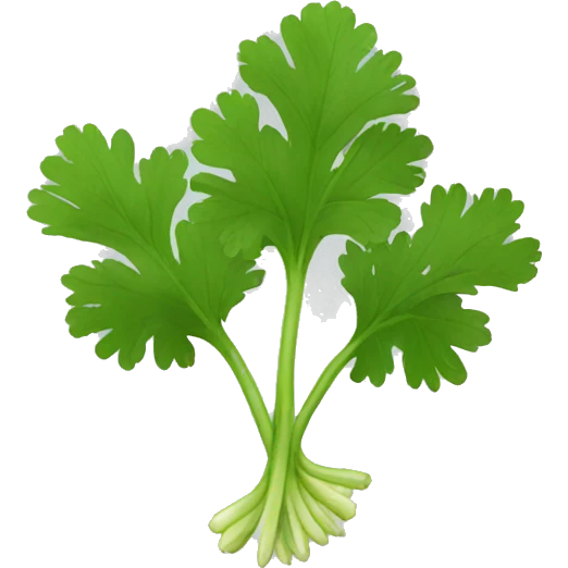 cilantro emoji