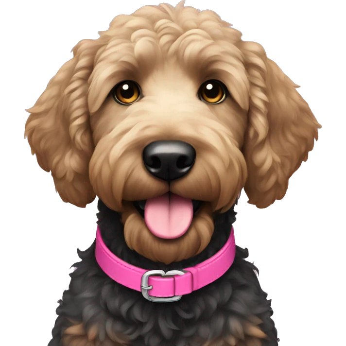 Black golden doodle with pink collar  emoji