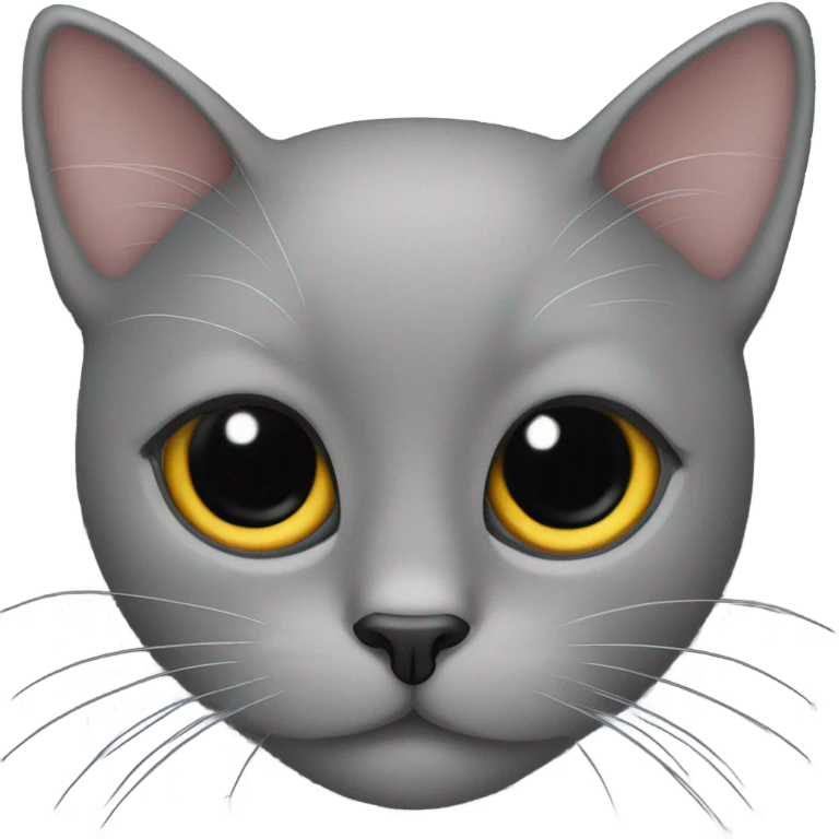 black cat face with big black eyes emoji