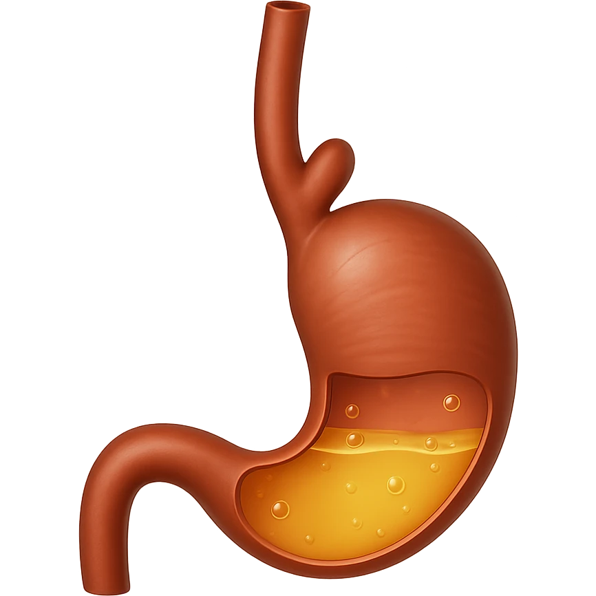Create an emoji of esophagus and stomach similar to the reference image, in Apple emoji style with transparent background. emoji