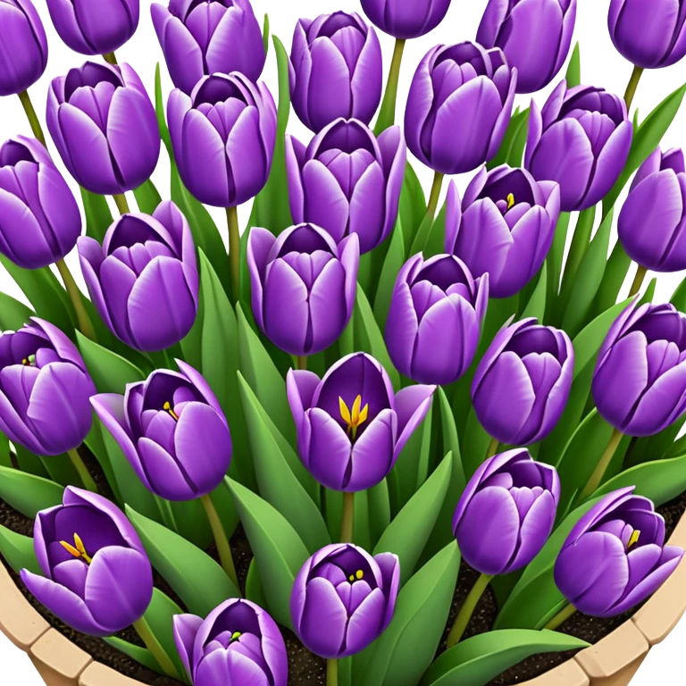 violet tulips in a flowerbed, top view emoji