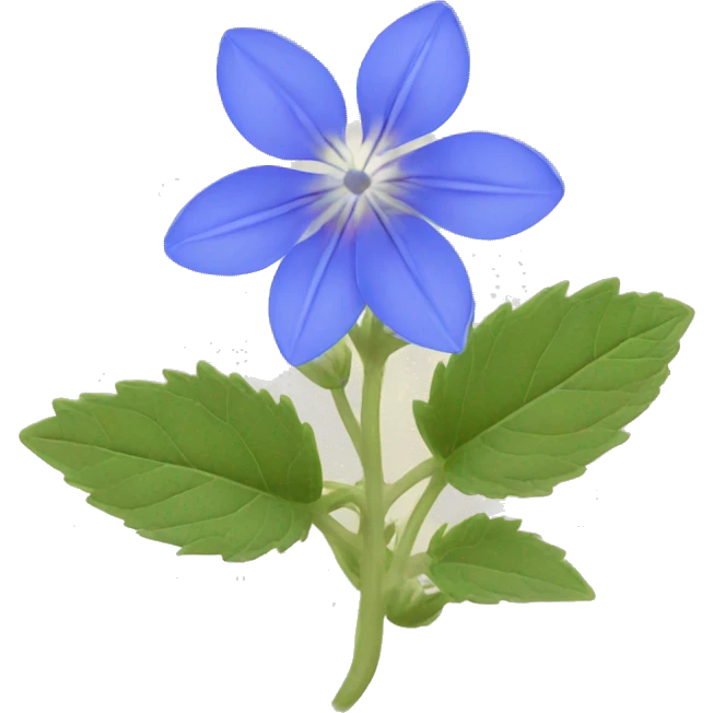 borage flower emoji