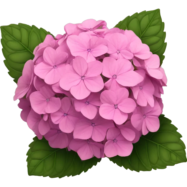 Pink hydrangeas  emoji