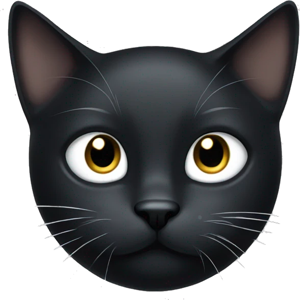 Black cat with white spot under chin, and a white spot on top of its head, and its right eye is missing  emoji