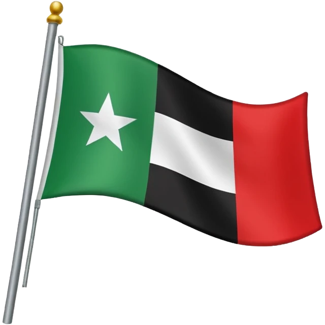 The flag had a three lined color, the top is green with Arabic written لا اله الا الله محمد رسول الله، in the moliddle it's white with black star, in the bottom is red color emoji