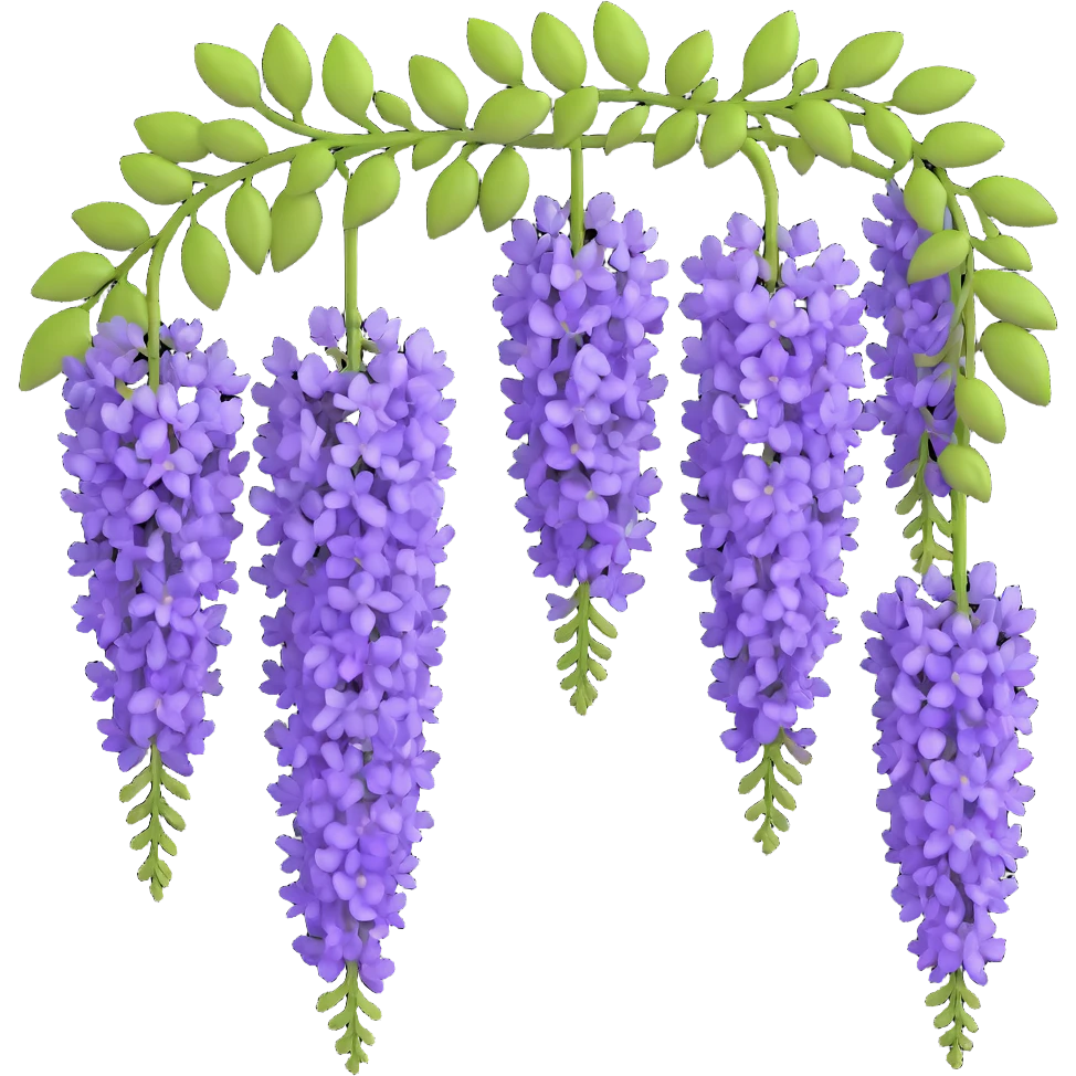 Detailed wisteria blossom with hanging clusters of lavender flowers in pendulous racemes and delicate green foliage emoji
