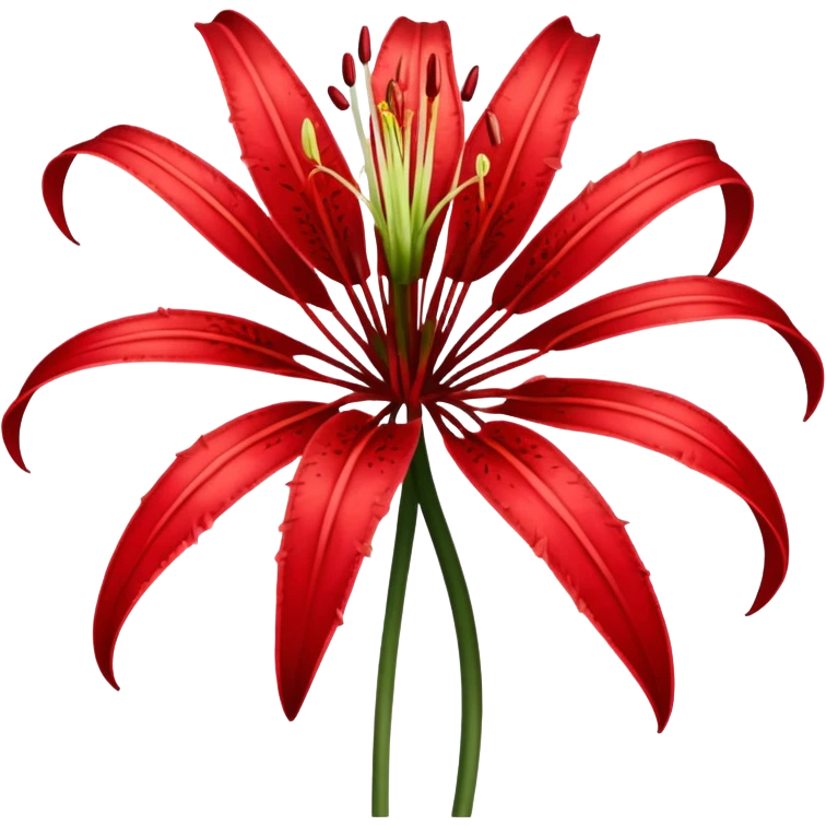 wilting red spider lily  emoji