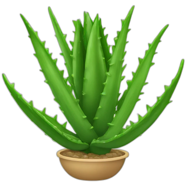 Une aloe vera emoji