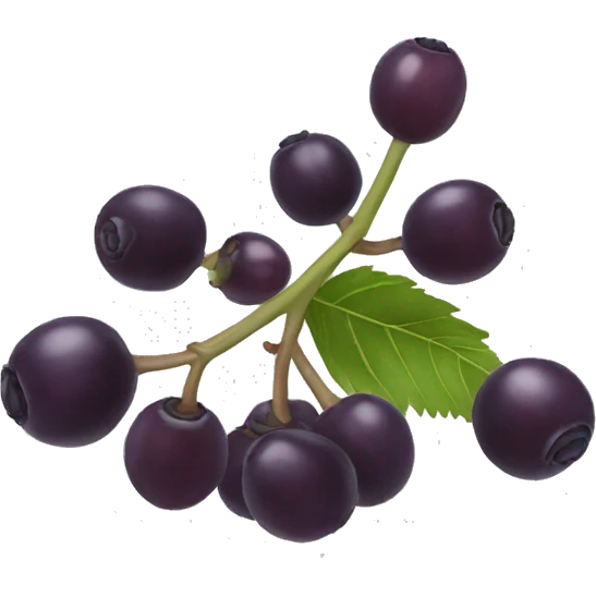 Elderberry emoji