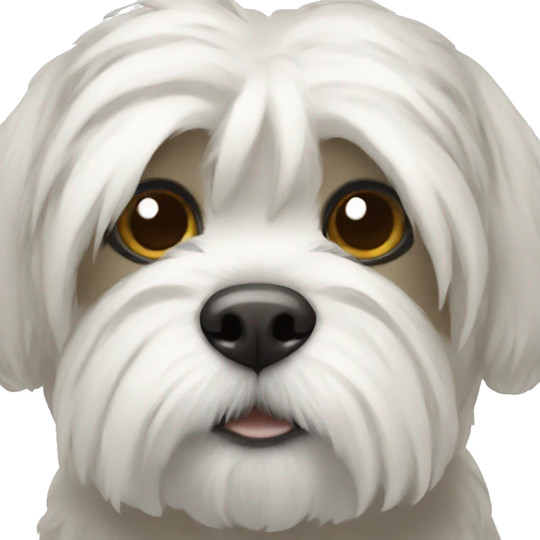 white shitzu emoji