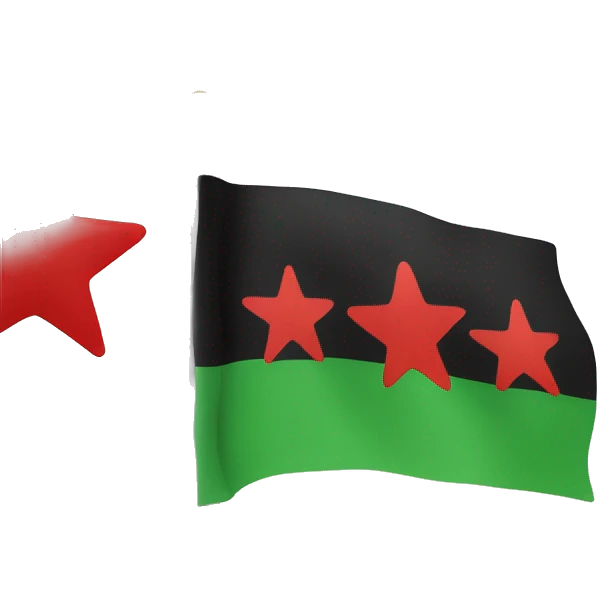 Flag with green On top white in the middle with theee red stars and black in the bottom emoji