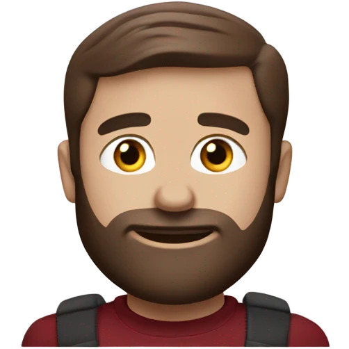 dark red 2014 ford fusion  emoji