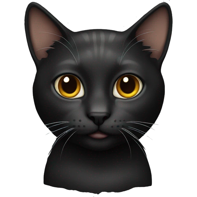Cat black  emoji